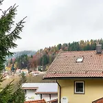 Am Silberberg Apartment Bodenmais